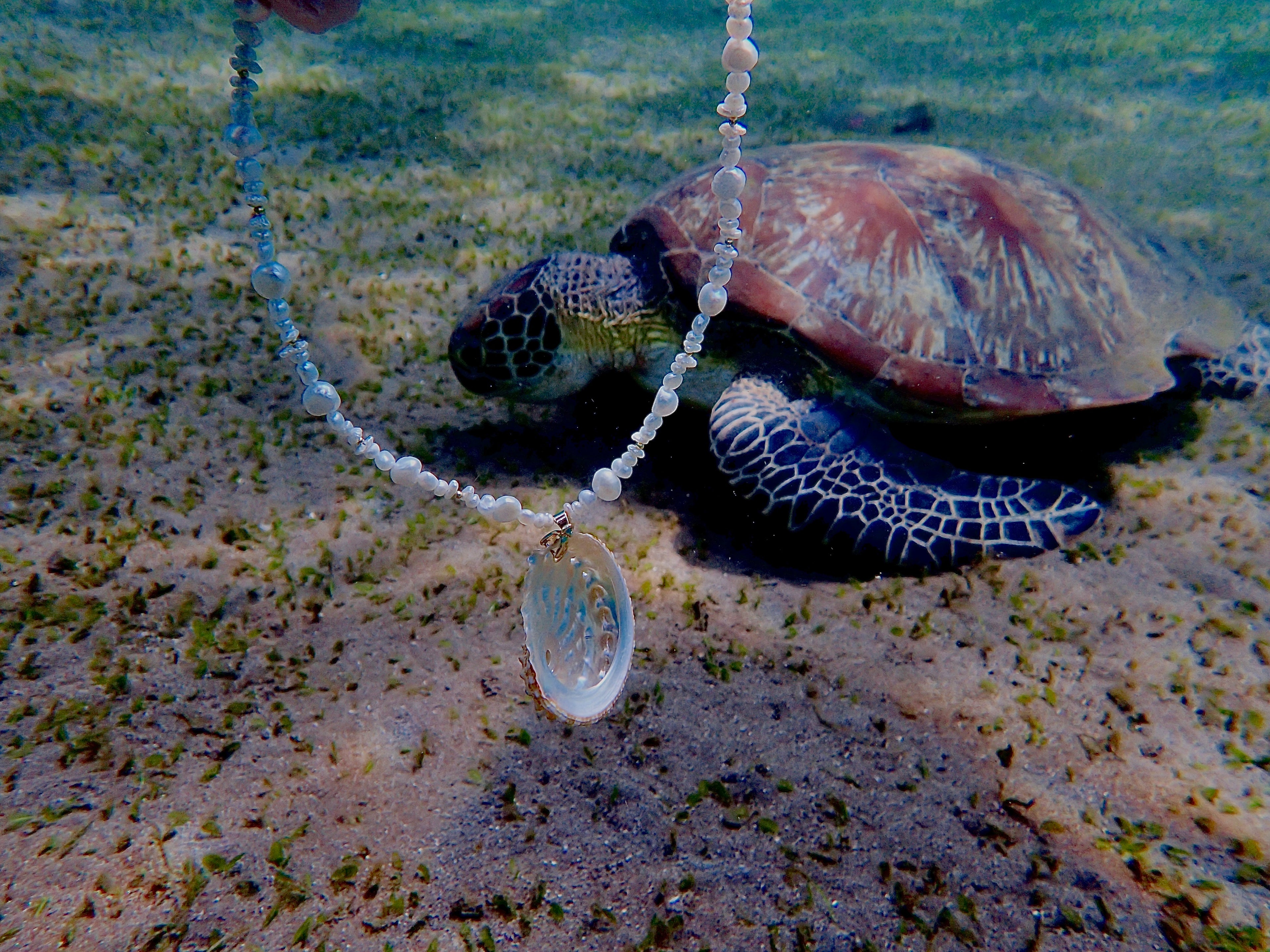 Abalone shell choker