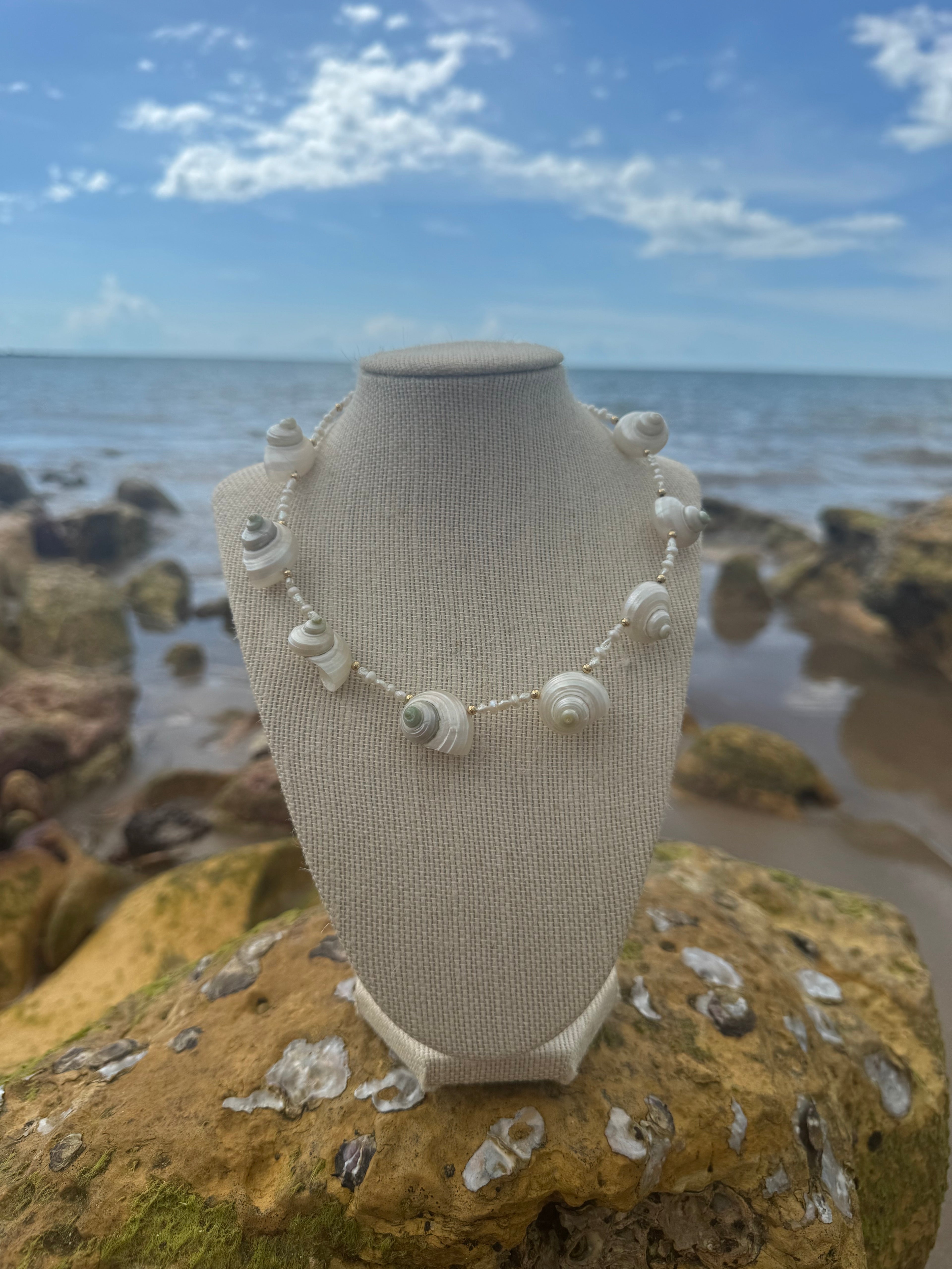 Iridescent turban shell choker