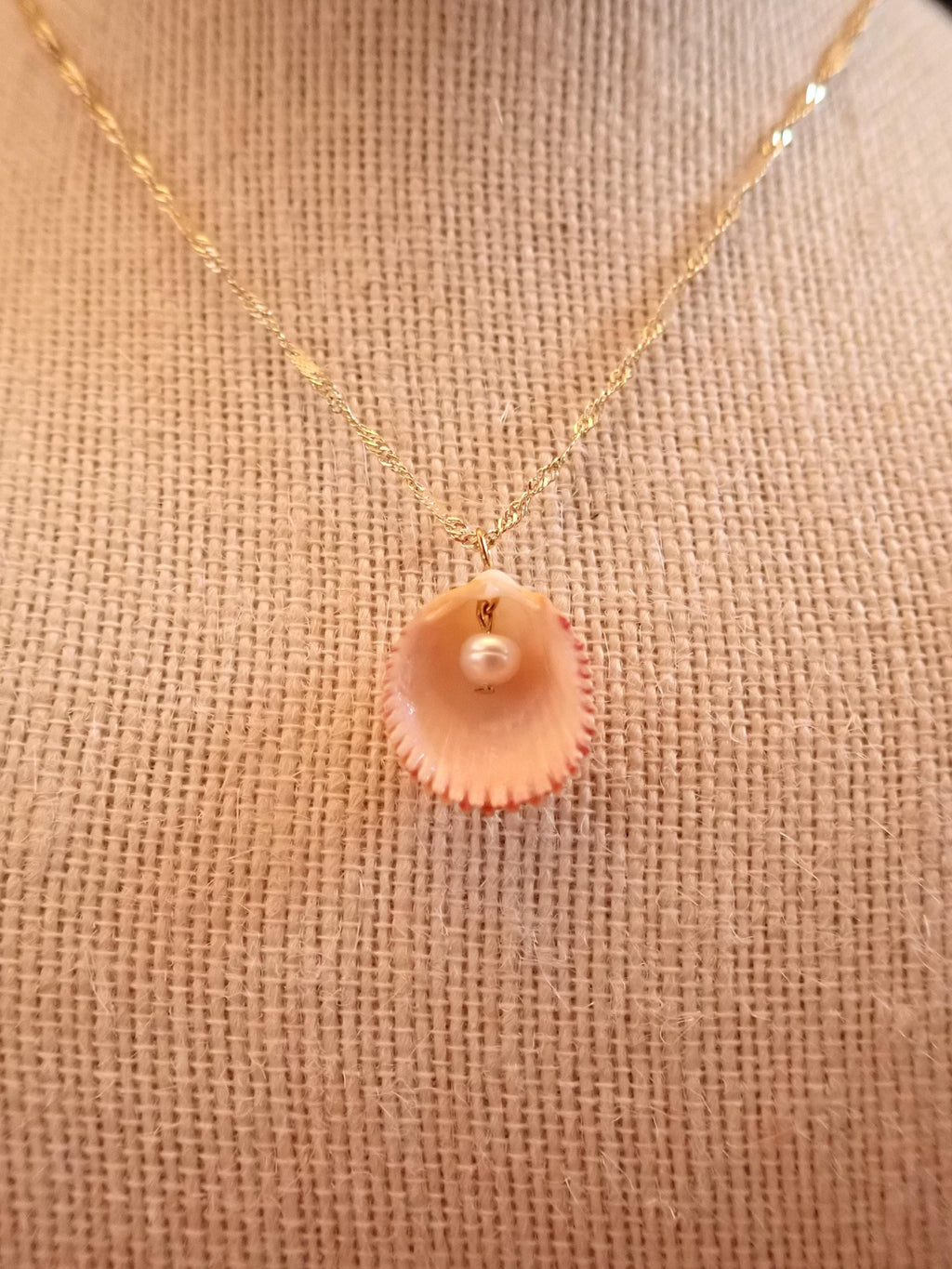 Cockleshell / clam with pearl inside on gold chain necklace