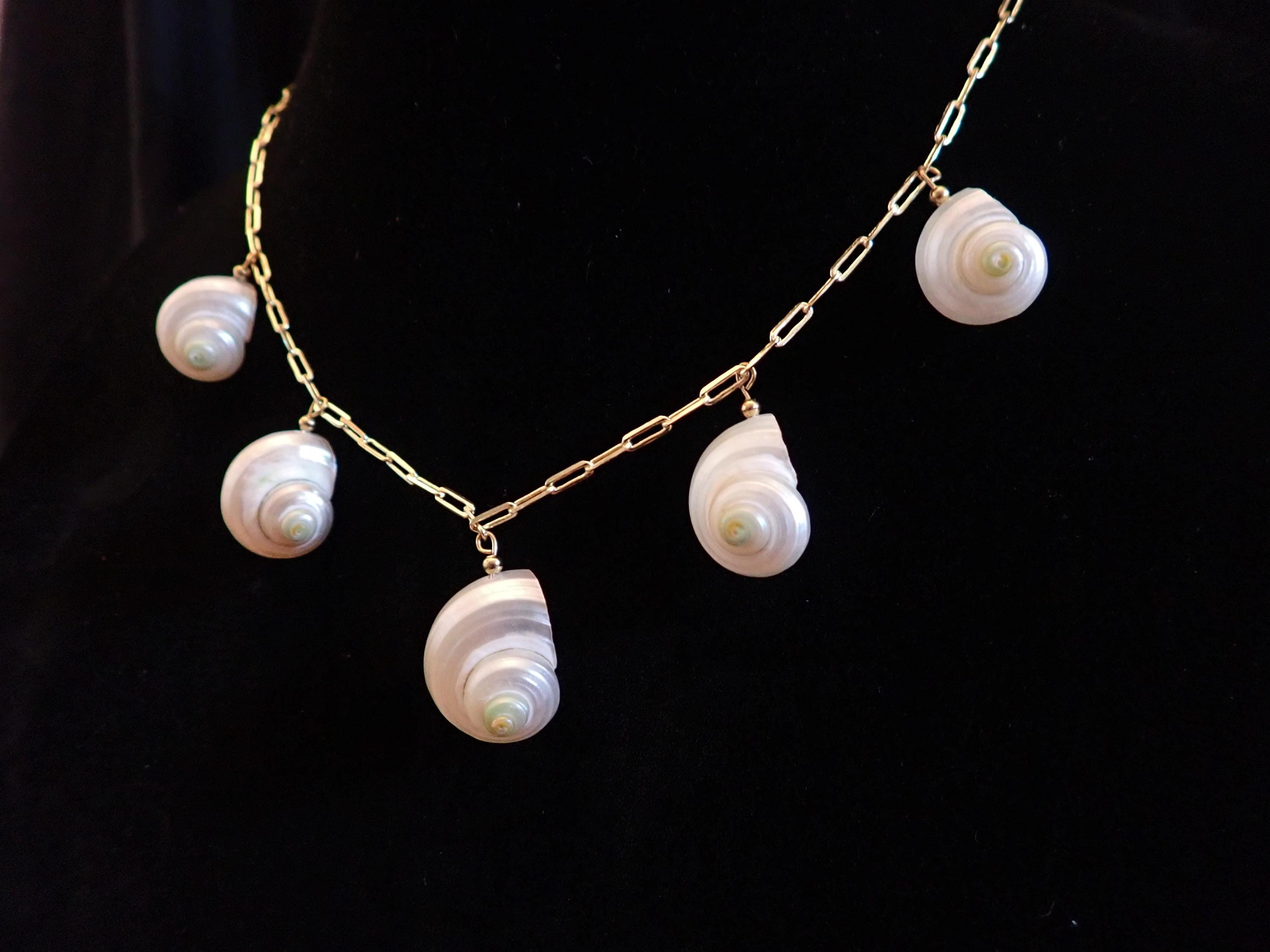 Polished turban shell gold plated necklace