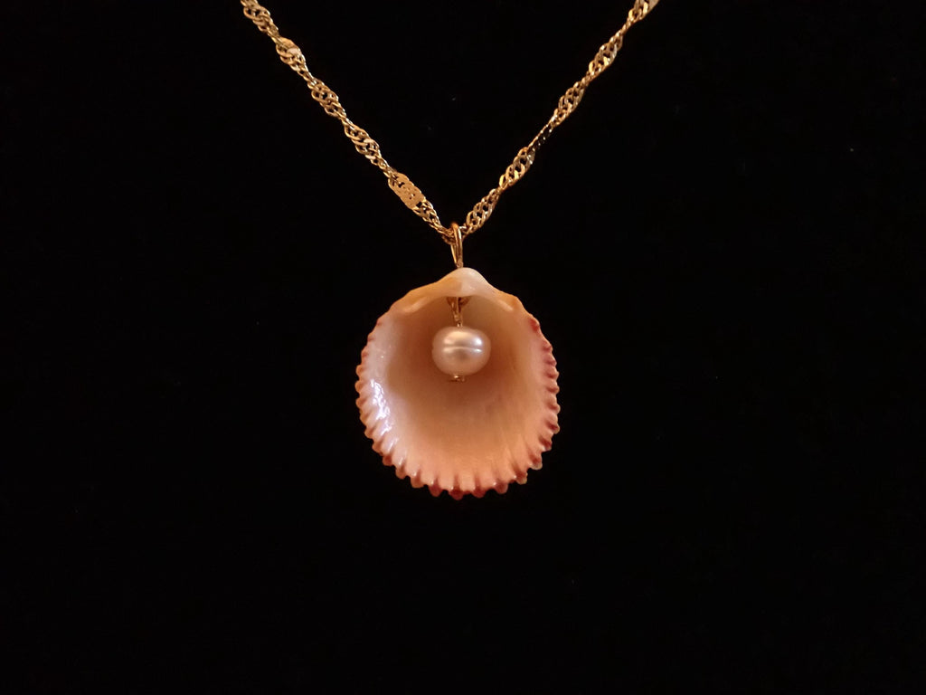 Cockleshell / clam with pearl inside on gold chain necklace