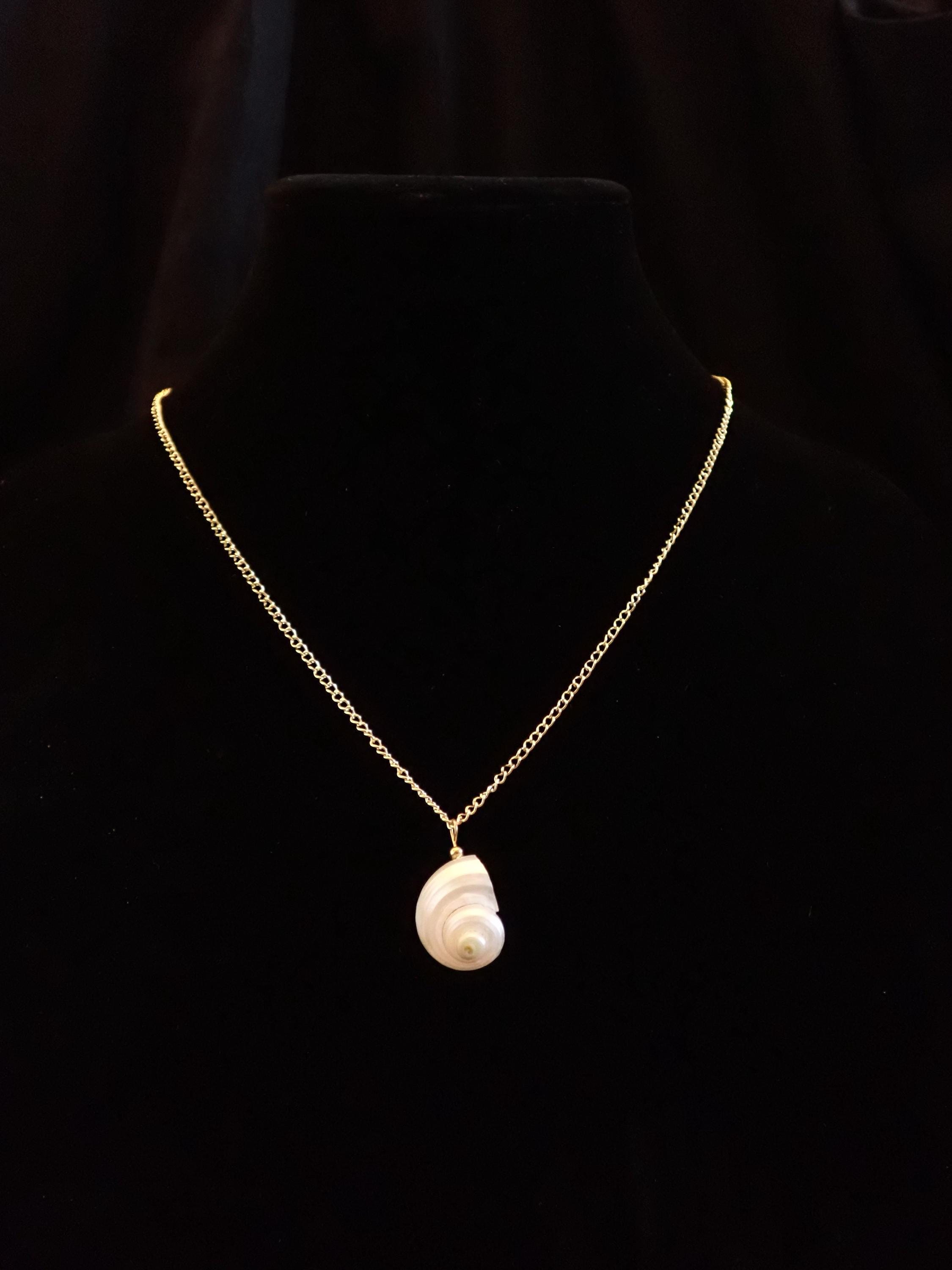White polished turban shell gold plated chain necklace